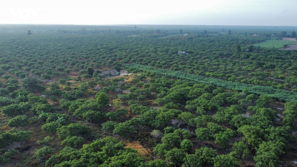 dji_fly_20240817_064634_221_1723852002291_photo_optimized.jpg