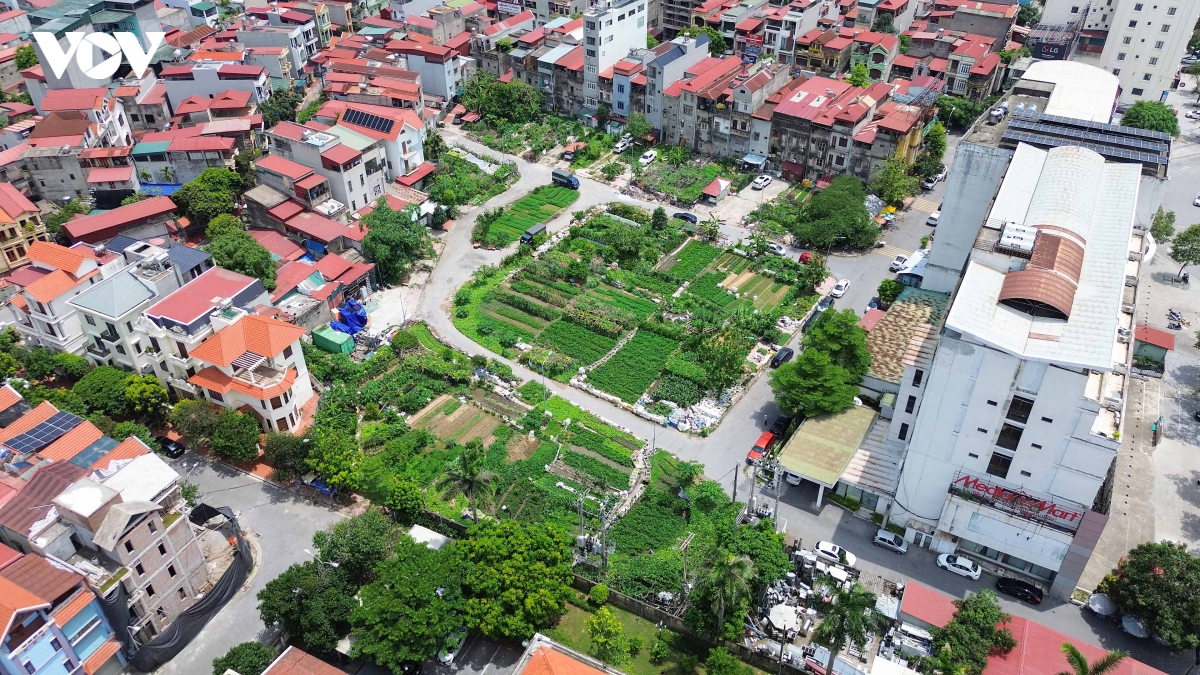 nguoi_dan_nhan_dat_5.jpg