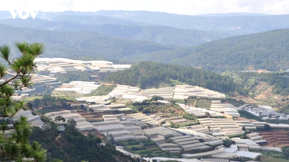 nhip_cau_noi_y_dang_voi_long_dan_3.jpg