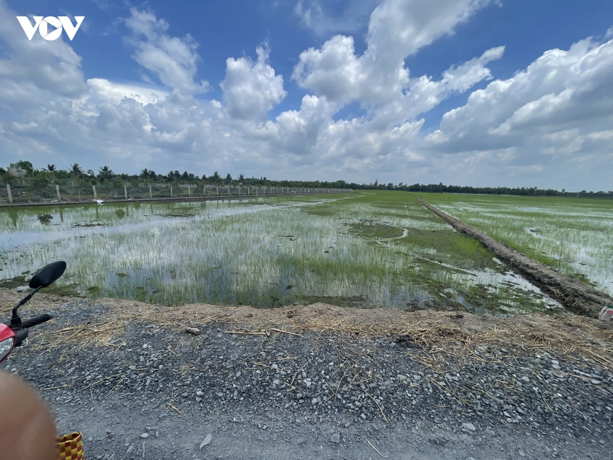 noi_xay_ra_vu_chet_nguoi_do_su_dung_bay_chuot_co_dong_dien.jpg