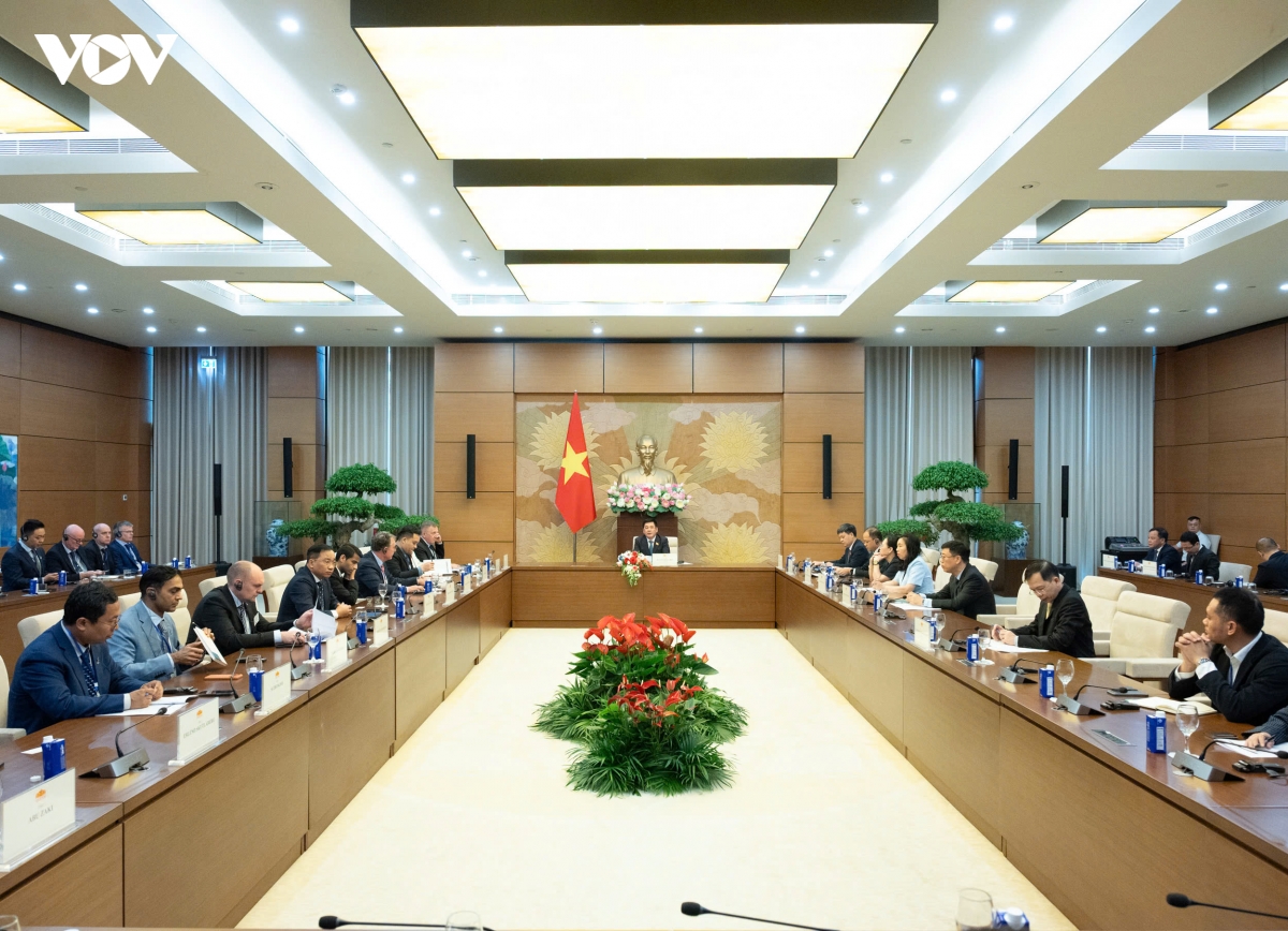 pho_chu_tich_quoc_hoi_nguyen_hong_dien_tiep_doan_hoi_dong_nang_luong_gio_toan_cau_3.jpg