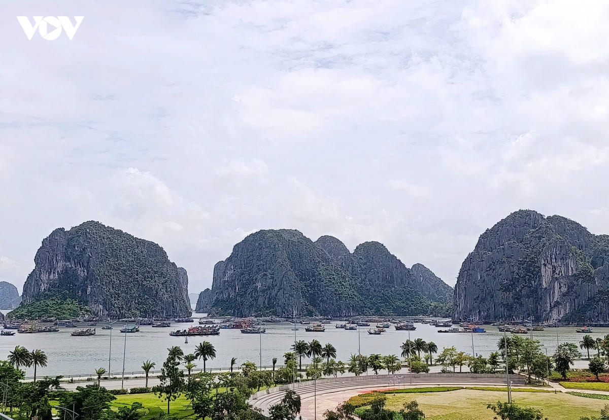 qn_dang_xac_dinh_vi_tri.jpg