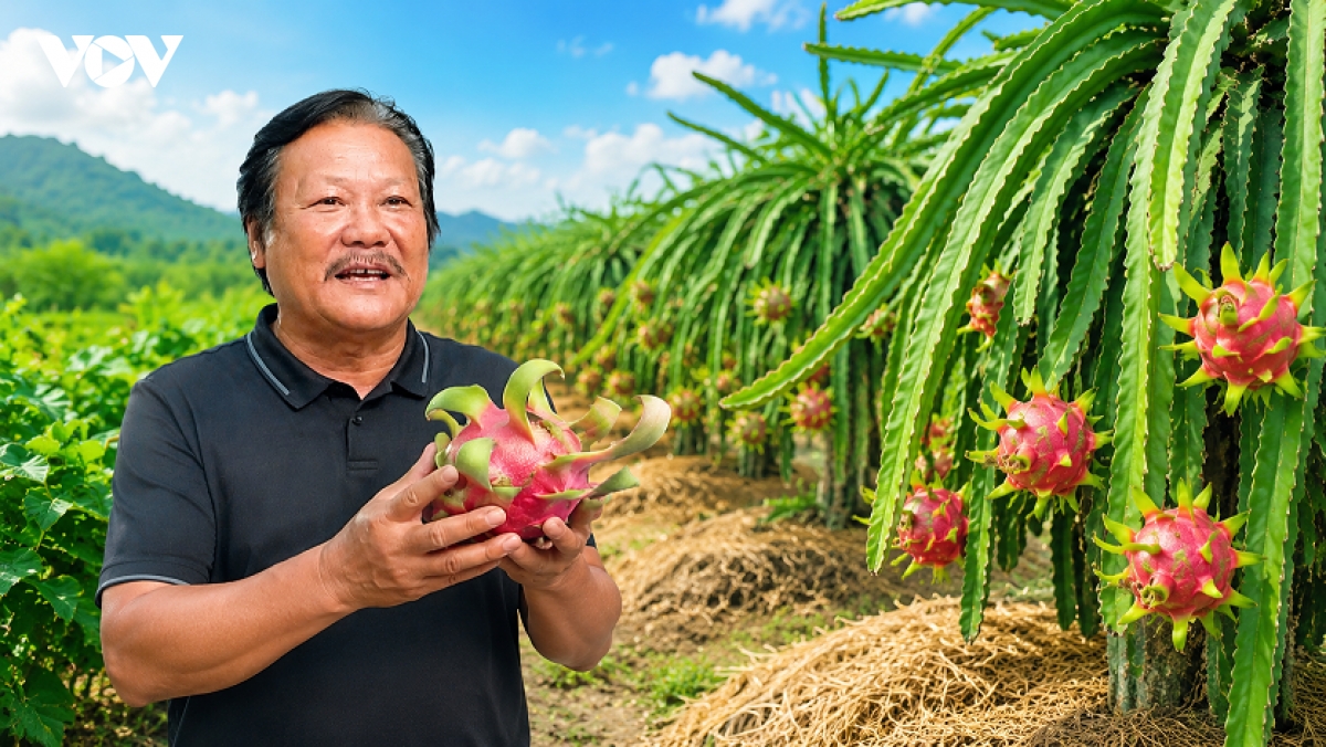 thanh_long_bt.png