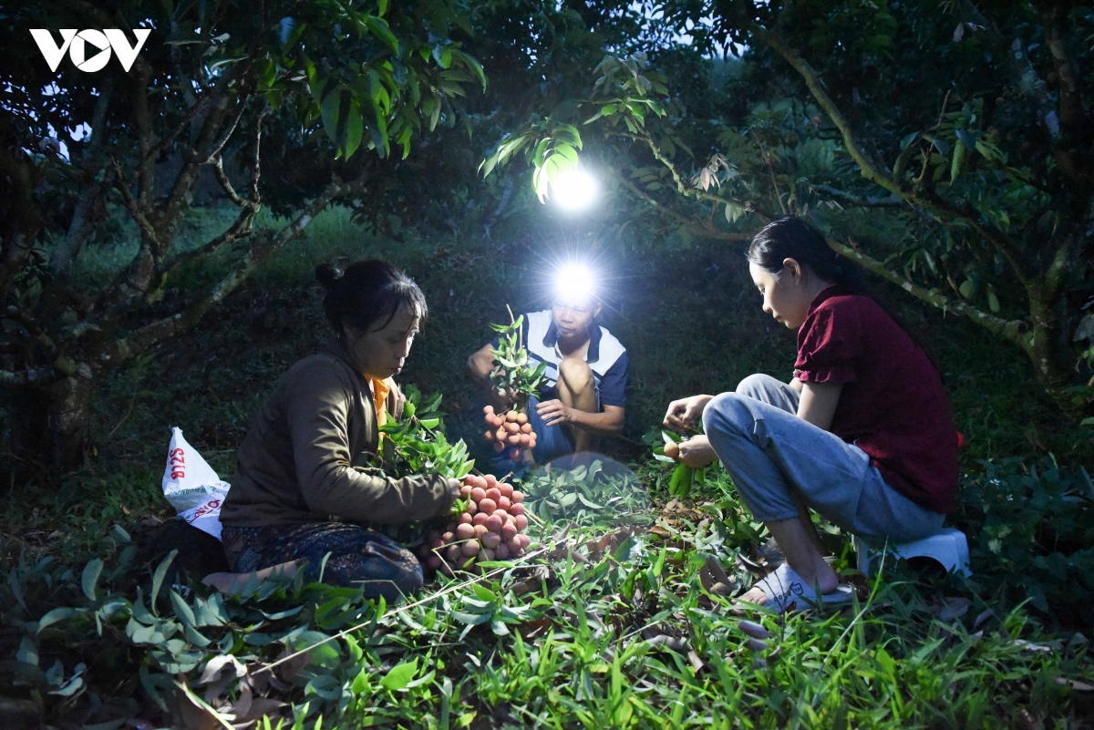 vai_thieu_bac_ninh_5.jpg