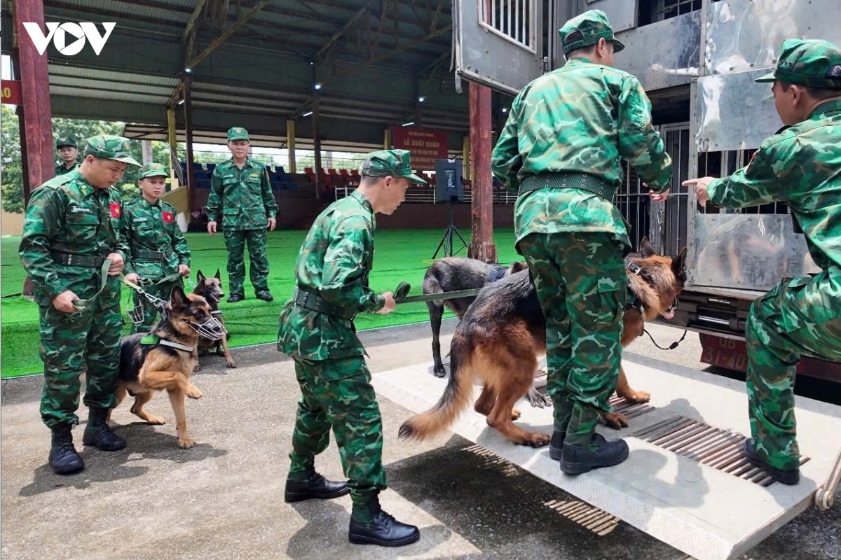 viet_nam_dua_8_cho_nghiep_vu_sang_tim_kiem_cuu_nan_sau_dong_dat_tai_veenzuela_1.jpg