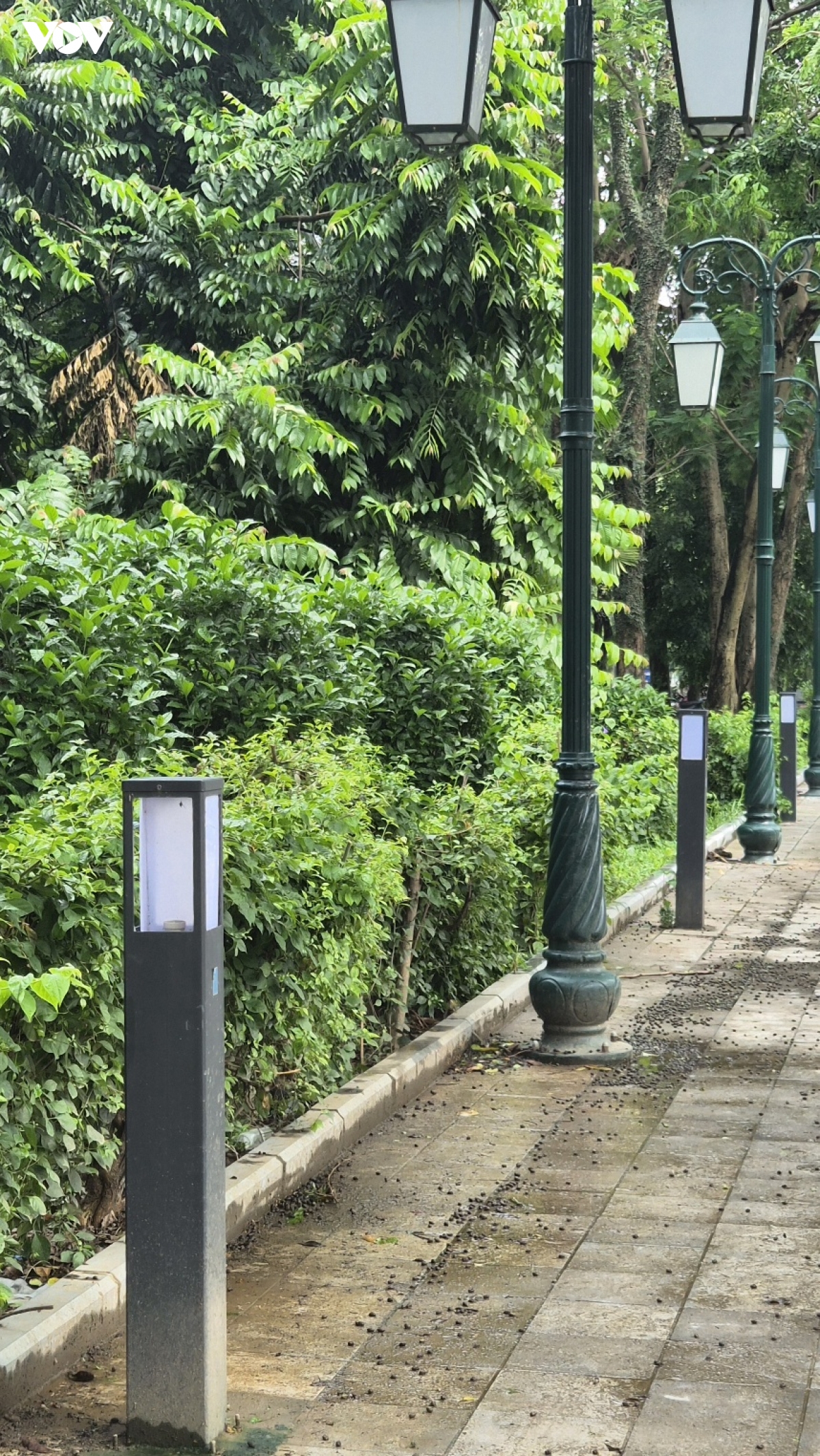 Dọc công viên Thống Nhất phía đường Lê Duẩn (Hà Nội) hầu như không còn trụ đèn nào nguyên vẹn do bị đập vỡ và lấy trộm bóng. Ảnh chụp chiều 28 tháng 7 năm 2026.