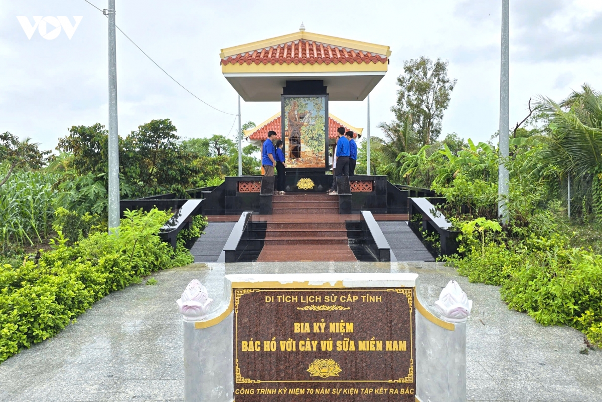 1_-_cay_vu_sua_mien_nam.jpg