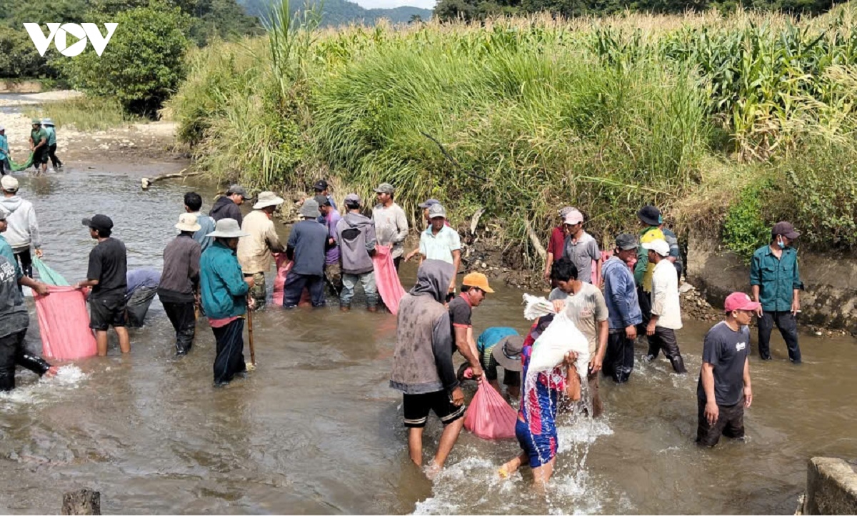 2-ngay-31-7.jpg