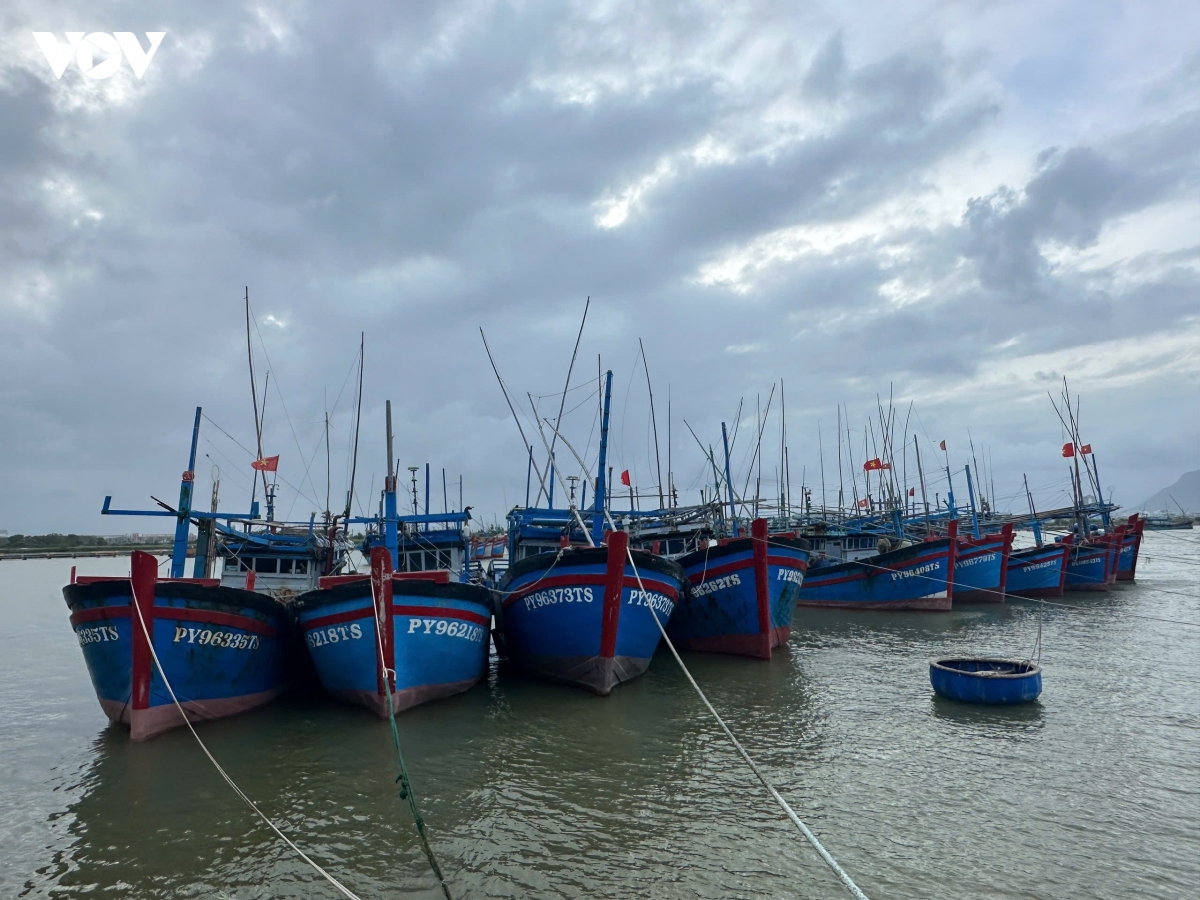 Tất cả tàu cá của tỉnh Đắk Lắk đã thực hiện đồng bộ dữ liệu với hệ thống VNeID.
