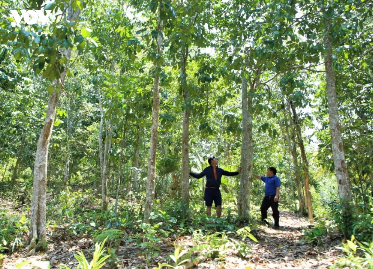 3-khuyen-khich.jpg