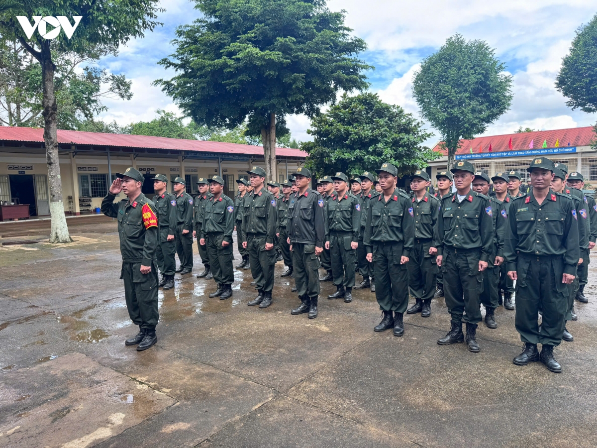 anh-12-cscd.jpg