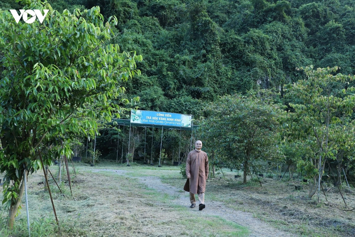 cong-vien-tra.jpg