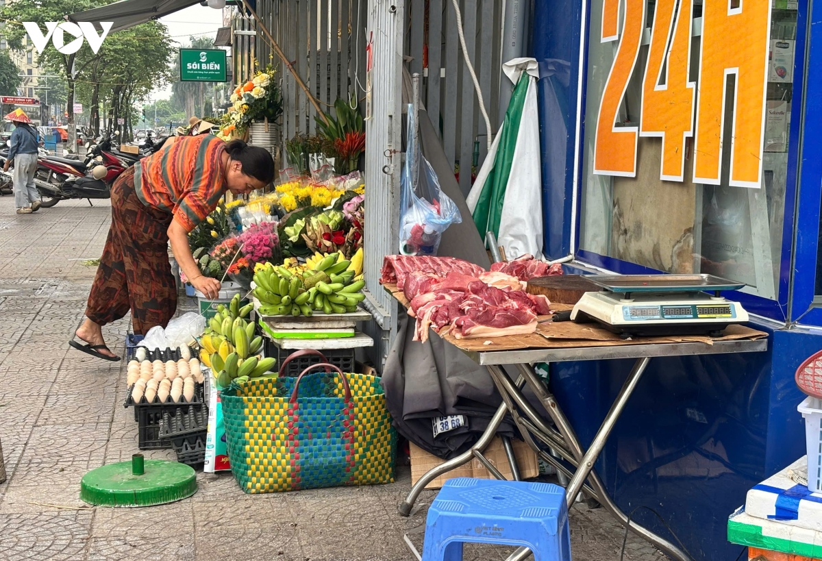 dep-cho-coc-ha-noi-13_2.jpg