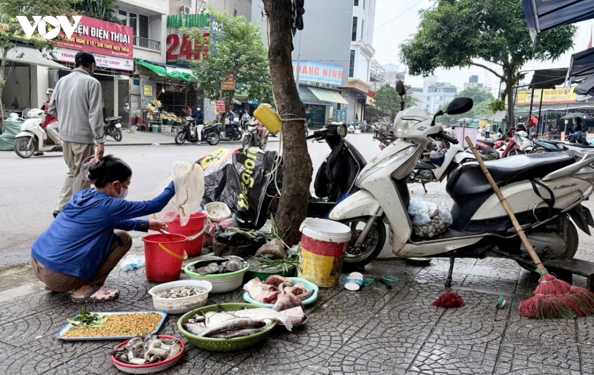 dep-cho-coc-ha-noi-5.jpg