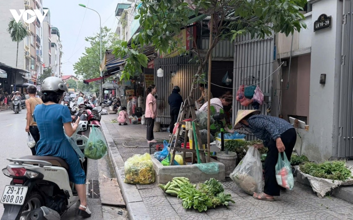 dep-cho-coc-ha-noi-7.jpg