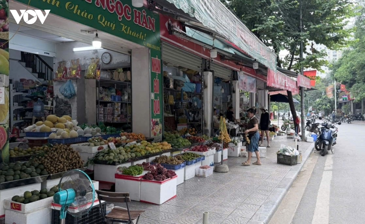 dep-cho-coc-ha-noi-8.jpg