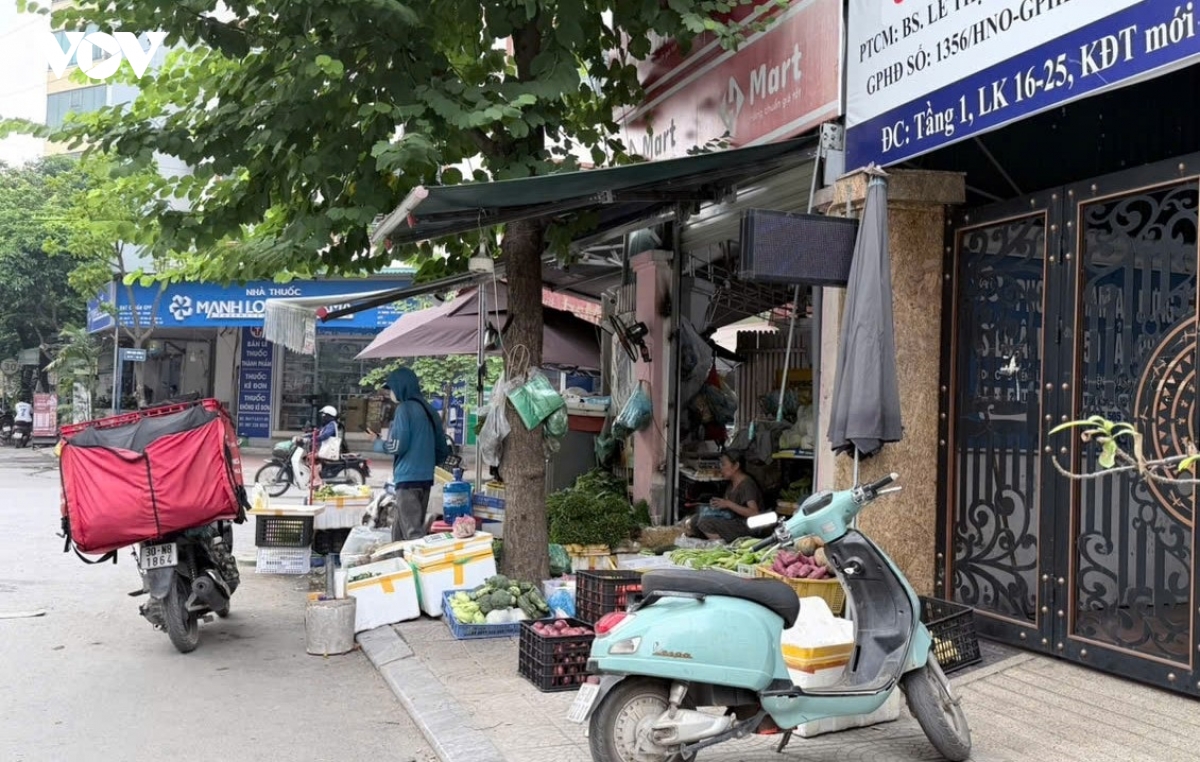 dep-cho-coc-ha-noi-9.jpg