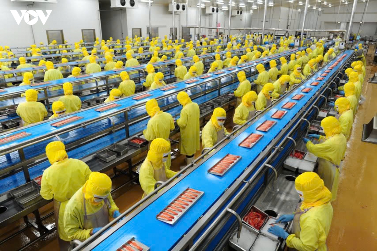 Trong 6 tháng đầu năm, thị trường lao động tiếp tục ghi nhận nhiều tín hiệu tích cực nhờ hoạt động sản xuất, kinh doanh phục hồi (Ảnh minh họa)