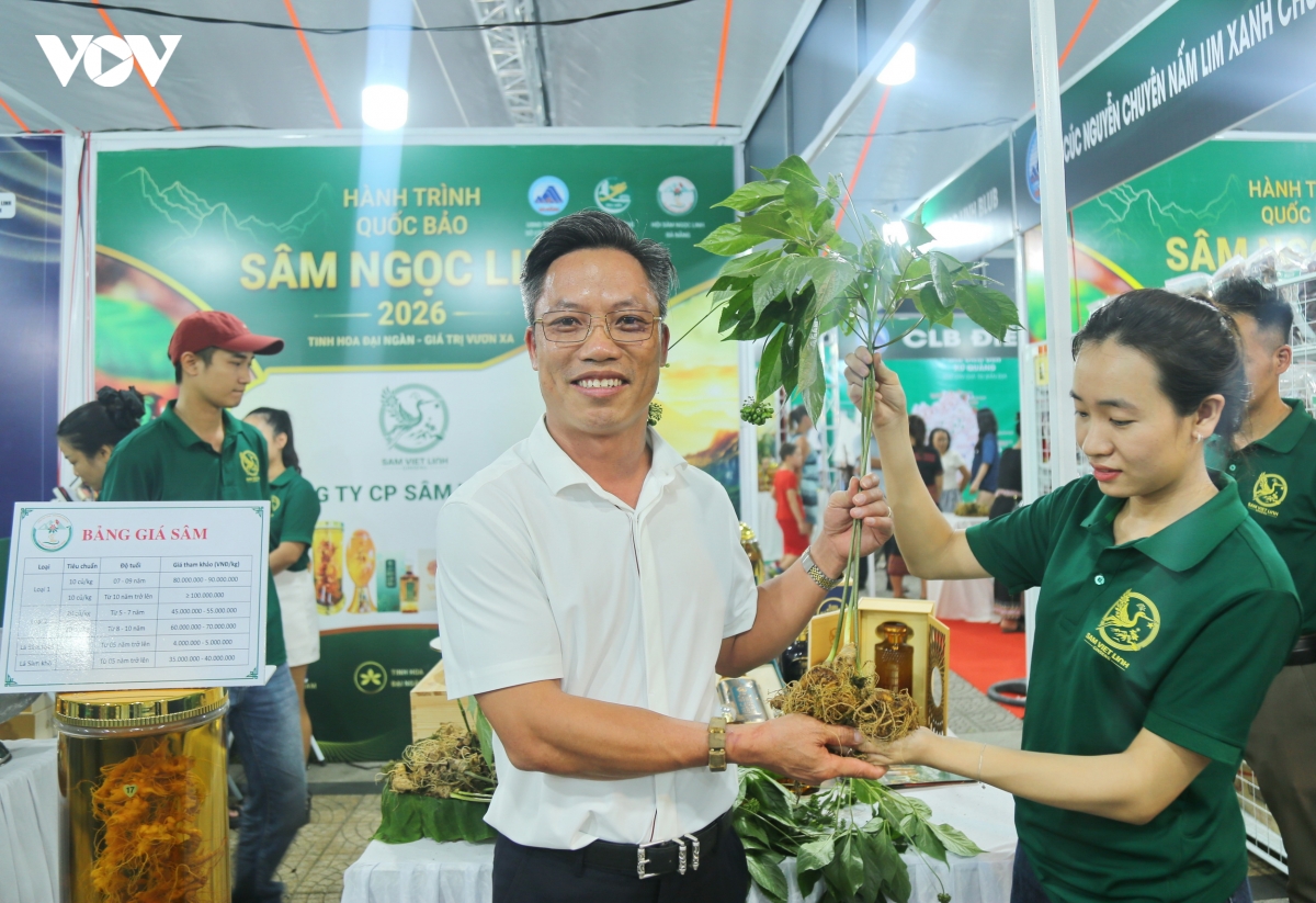 lan-dau-tien-trung-bay-50-gian-hang-sam-ngoc-linh-va-duoc-lieu-duoc-trung-bay-tai-trung-tam-thanh-pho-da-nang.jpg