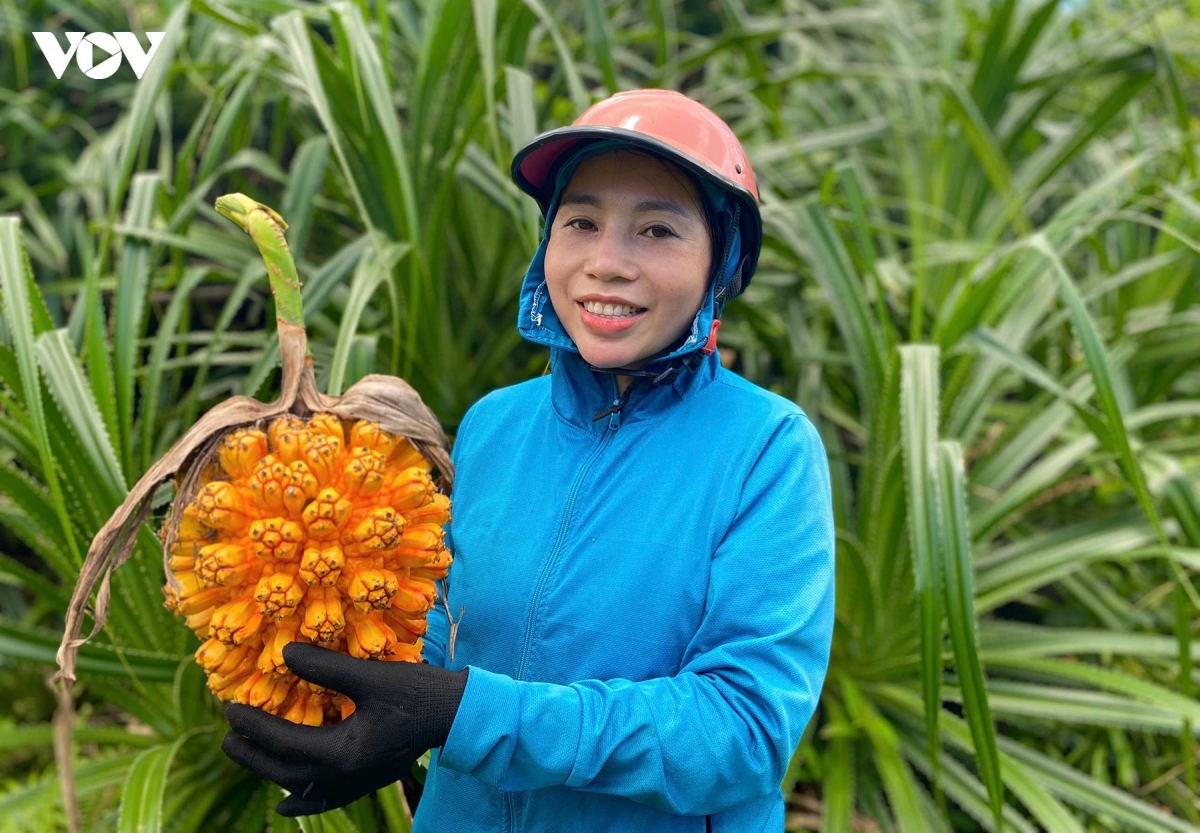 loc-rung-bien-khoi_2.jpg