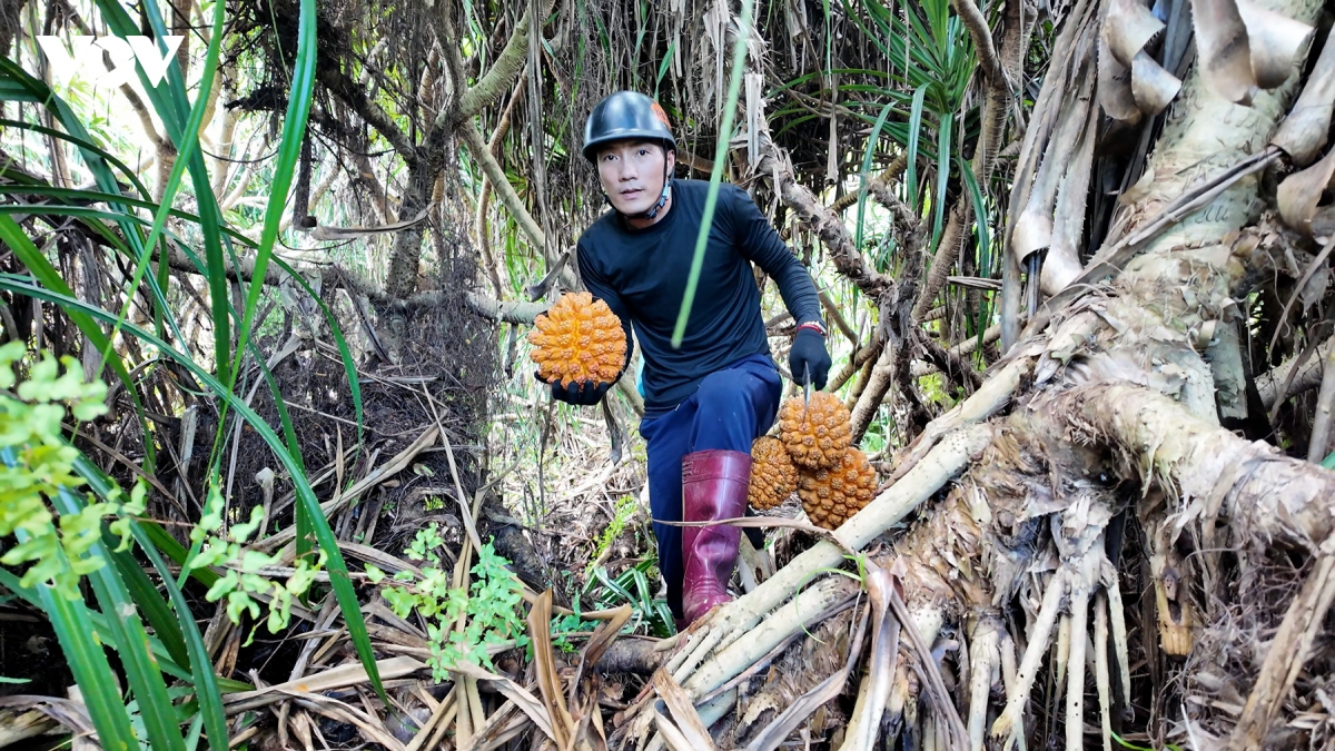 loc-rung-bien-khoi_6.jpg