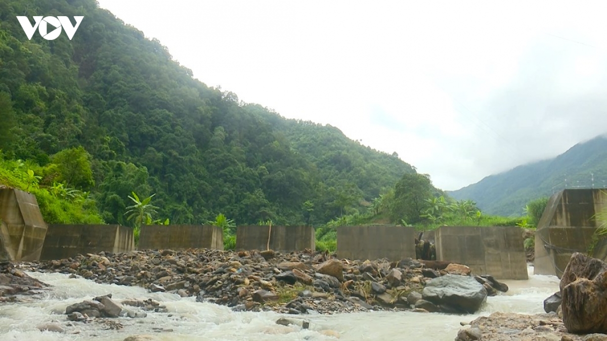 ngan-lu-4.jpg