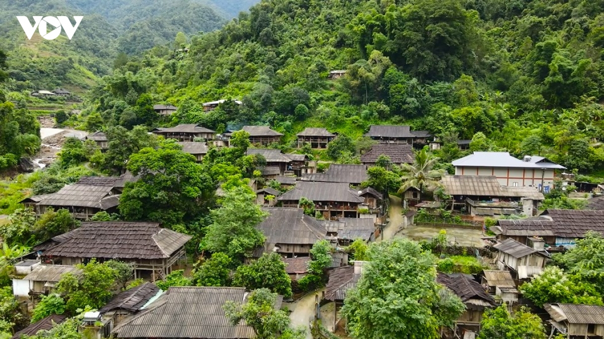 ngan-lu-5.jpg