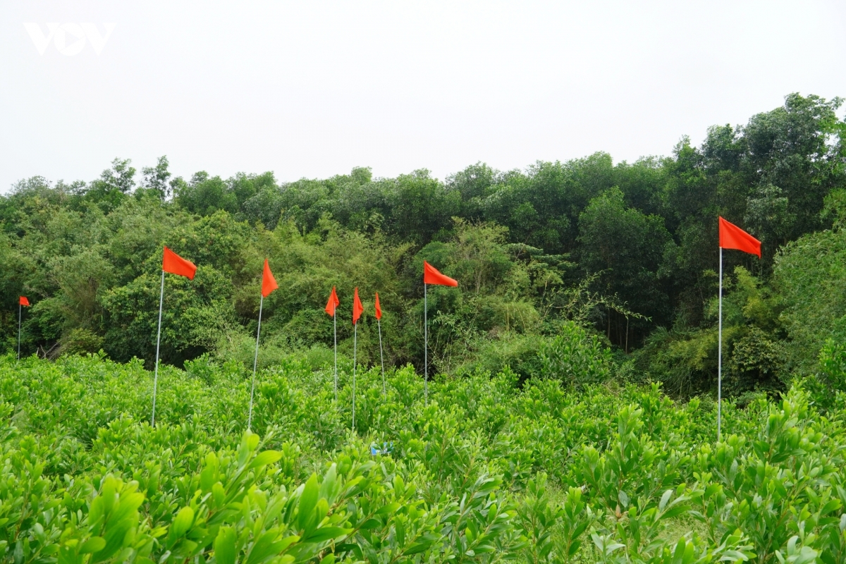 xac-dinh-khu-vuc-co-mo-tap-the-o-cau-nhi-1.jpg