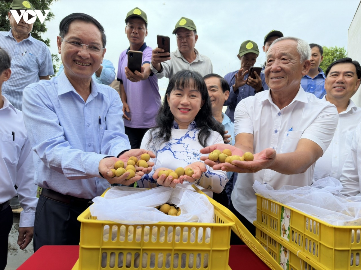 1-nhieu-htx-doanh-nghiep-va-nguoi-dan-da-lien-ket-de-xay-dung-vung-nguyen-lieu.jpg