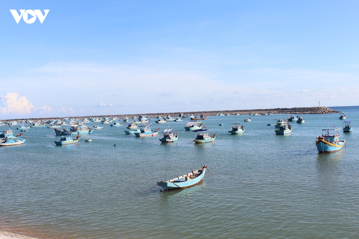 5-ngay-16-8.jpg
