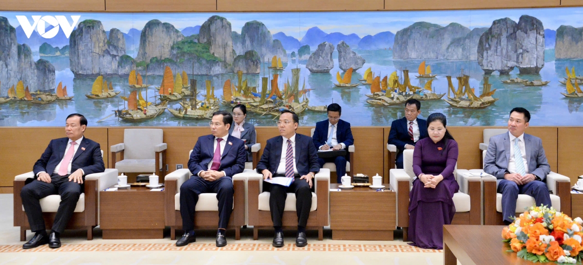 5-quoc-hoi-mong-co-tran-thanh-man-4.jpg