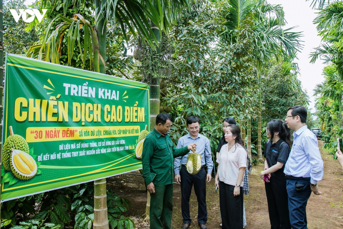 Chiến dịch cao điểm "30 ngày đêm" số hóa, chuẩn hóa, cập nhật và kết nối dữ liệu mã số vùng trồng, cơ sở đóng gói sầu riêng với Hệ thống truy xuất nguồn gốc nông sản tại Đắk Lắk diễn ra từ ngày 7/8 đến 7/9/2026, kể cả ngày nghỉ và ngày lễ.