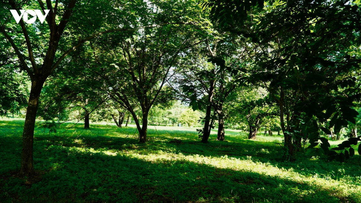_dsc2404.jpeg