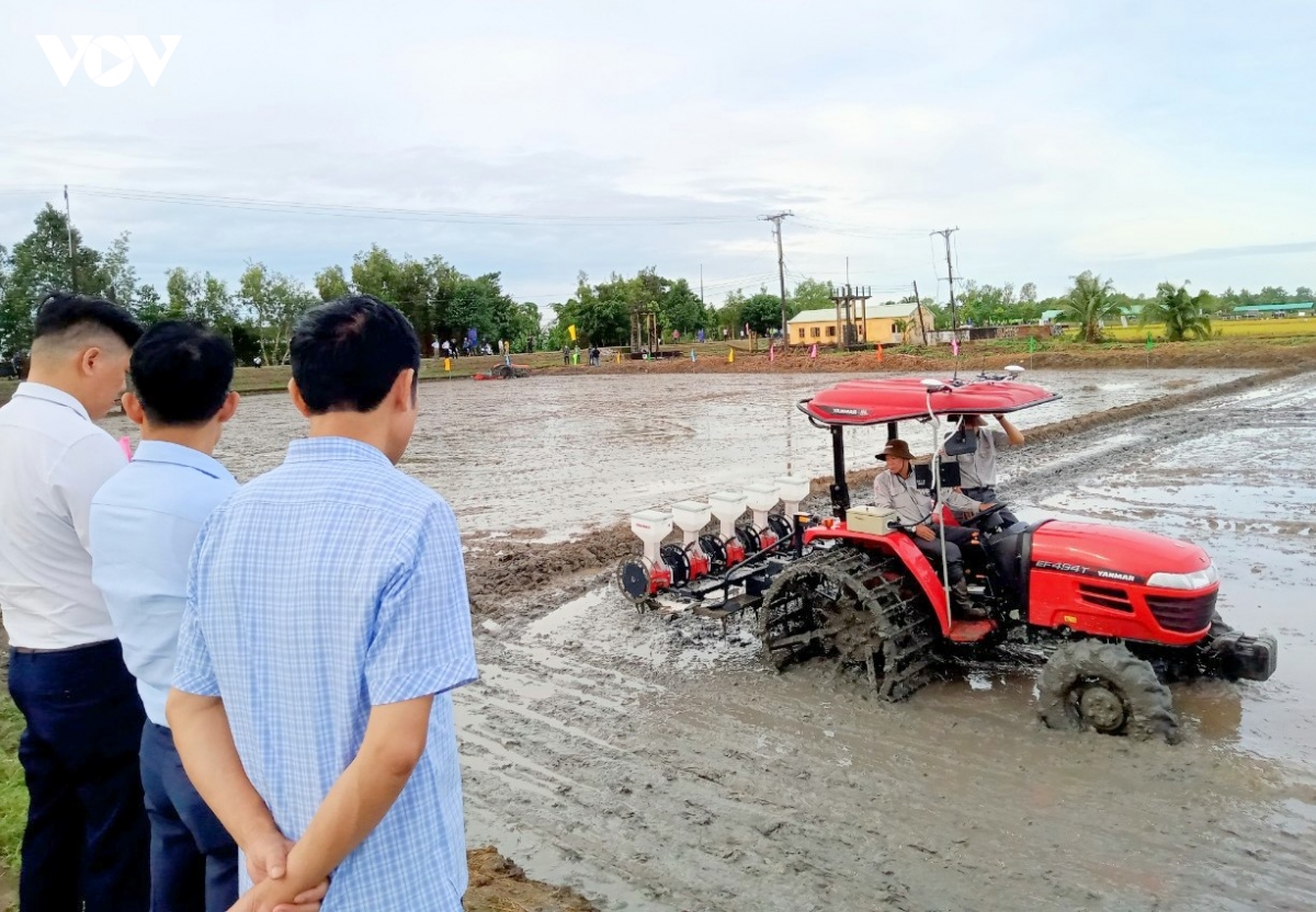 can-tho-la-dia-phuong-co-san-luong-lua-dung-thu-hai-vung-dbscl-chi-sau-an-giang.jpg