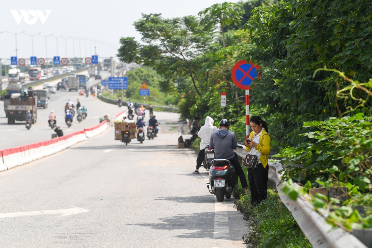 cau-thanh-tri-4165.jpg
