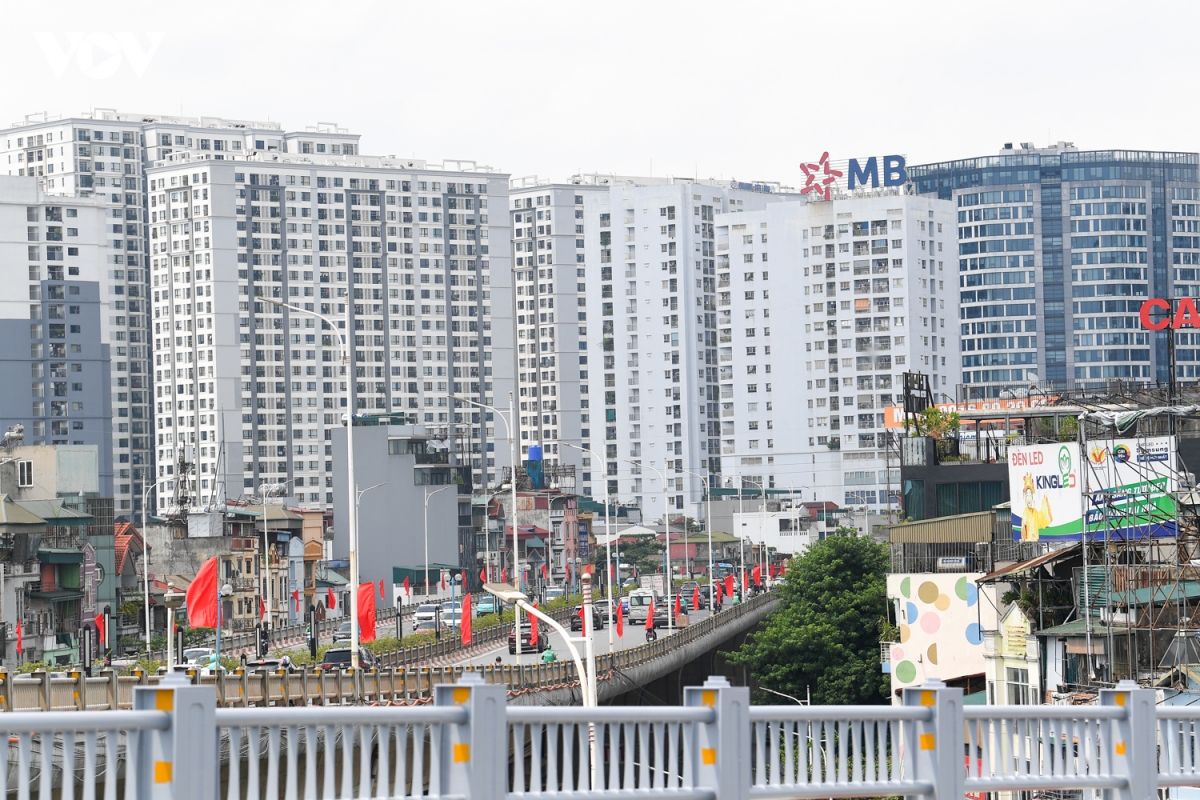 cau-thanh-tri-4312.jpg