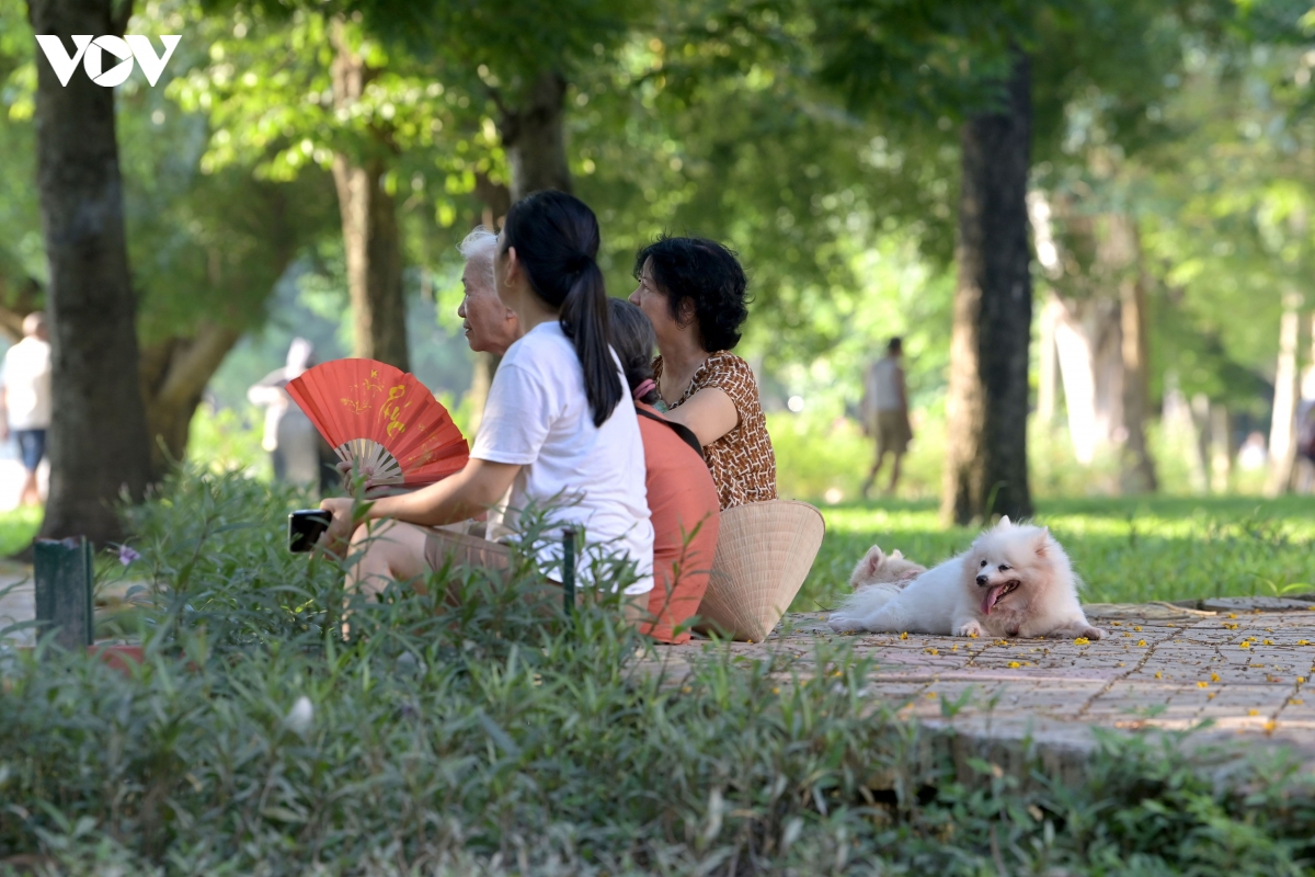 cho-ra-noi-cong-cong-1.jpg