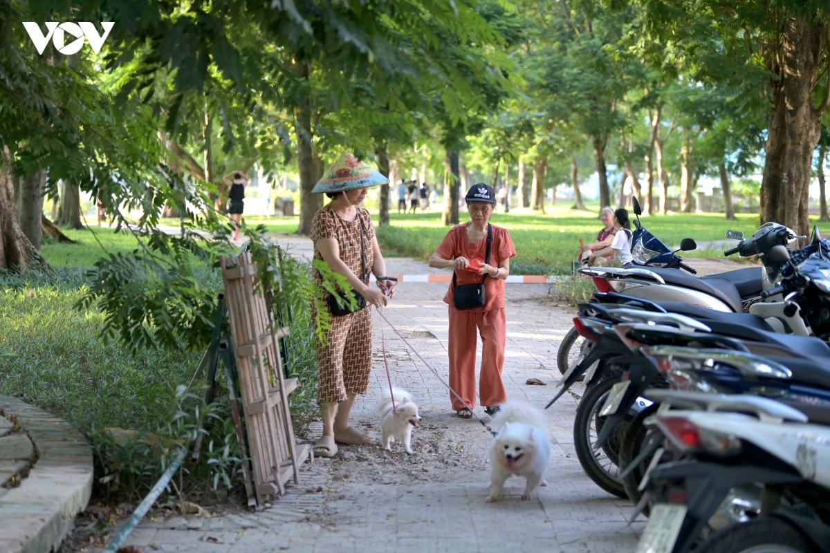 cho-ra-noi-cong-cong-3.jpg