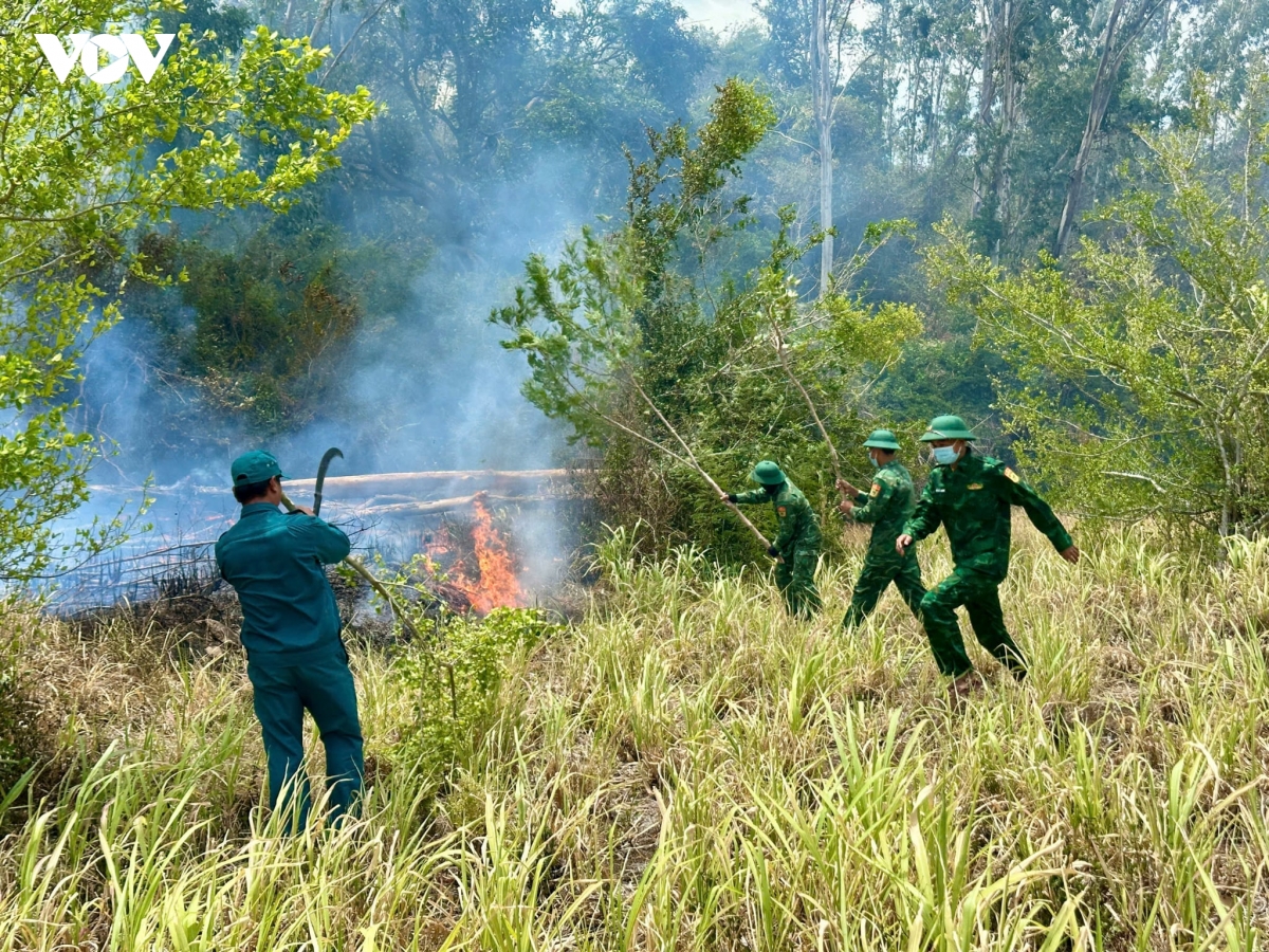 chua-chay-rung-xa-o-loan-tinh-dak-lak-anh-2.jpeg