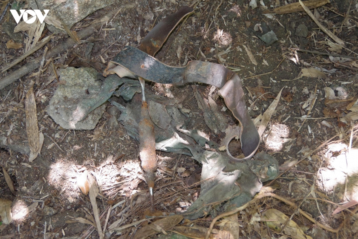 di-vat-04.jpg