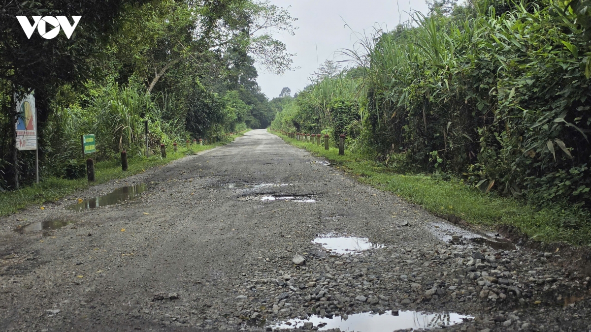 duong-hong-02.jpg