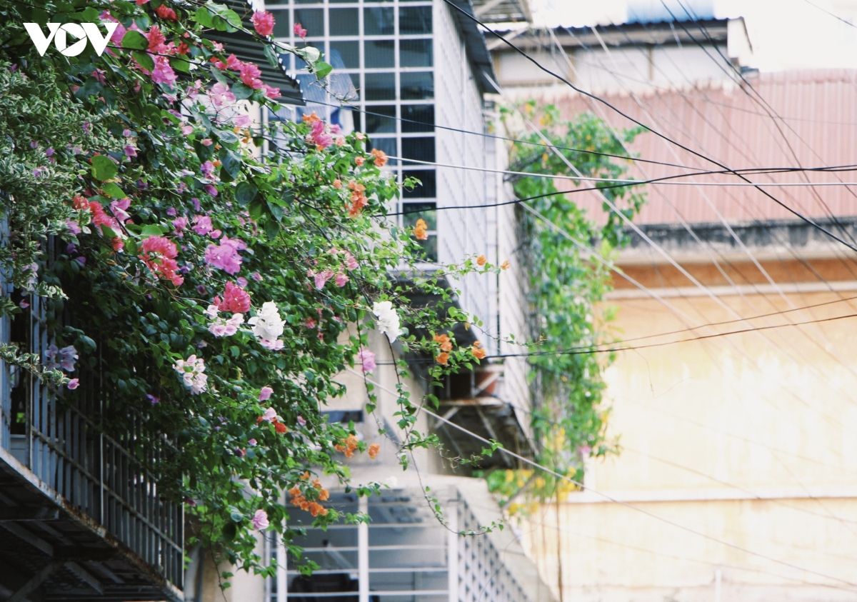 h19-1.jpg