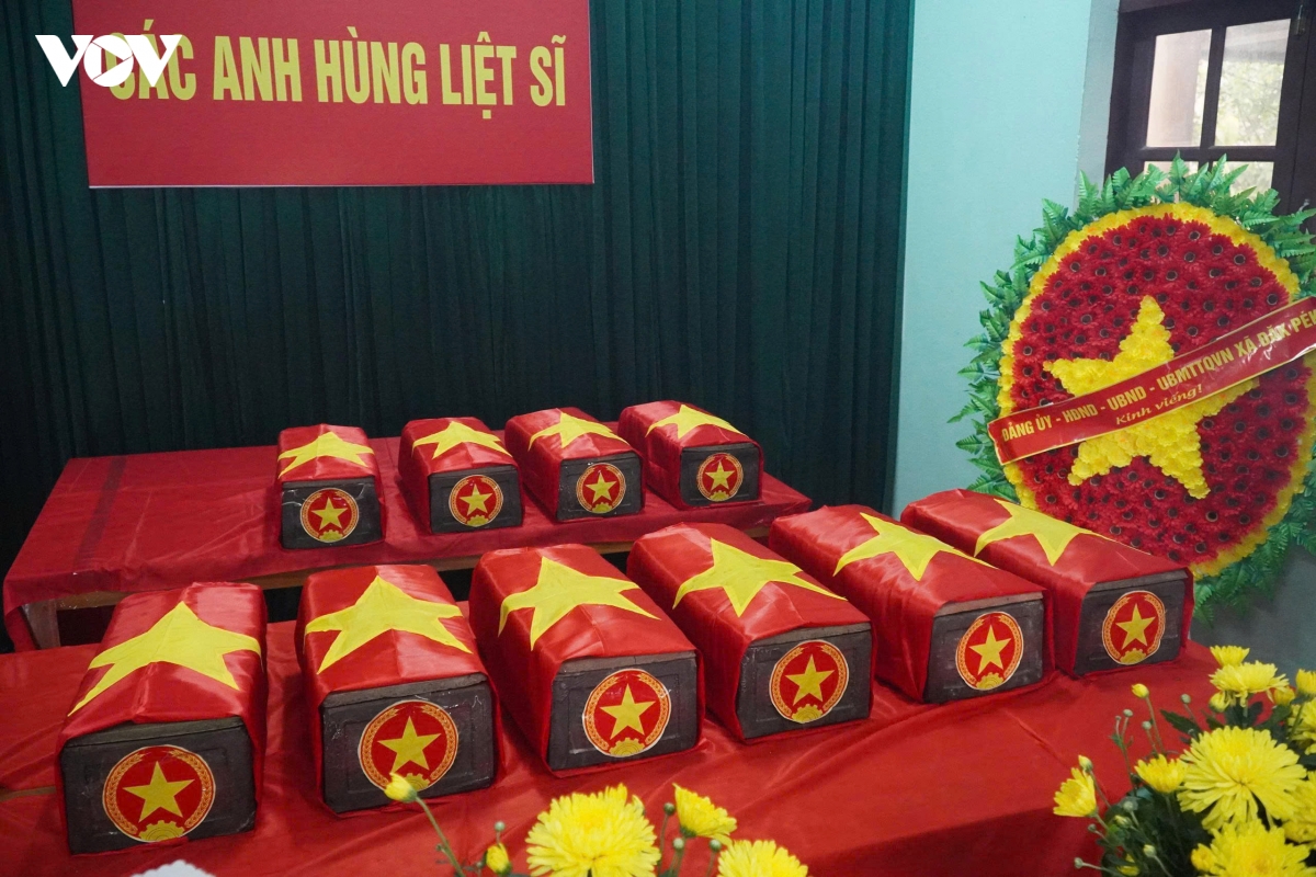 hai-cot-01.jpg
