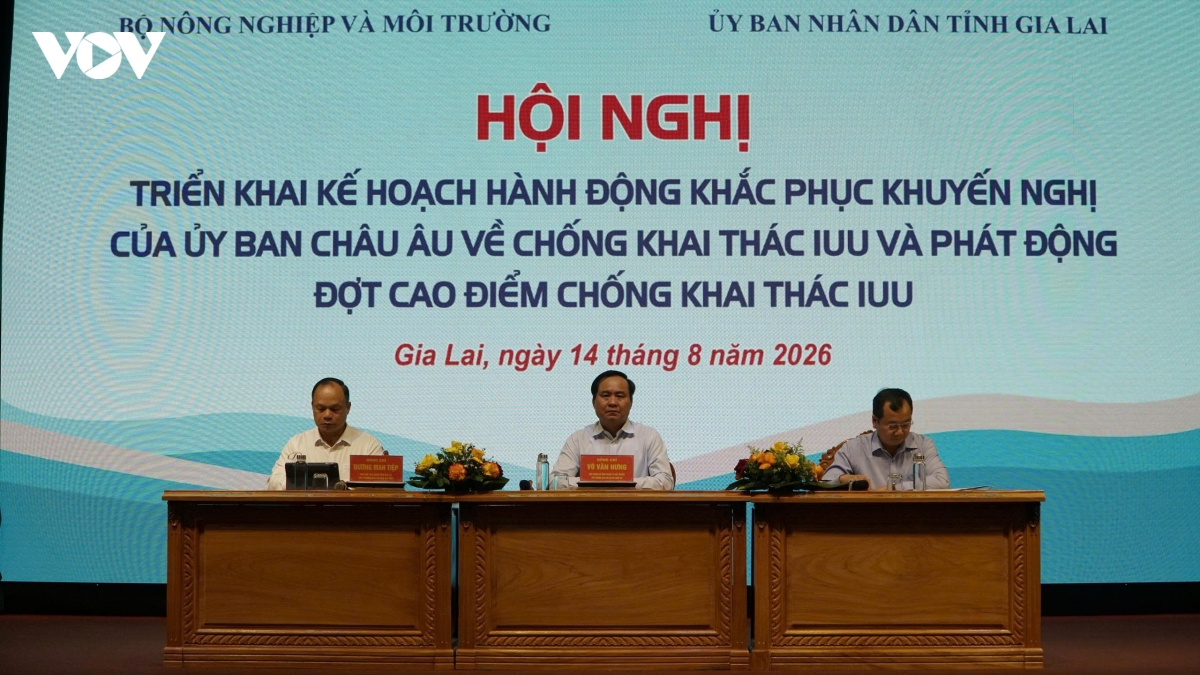 hoi-nghi-3.jpg