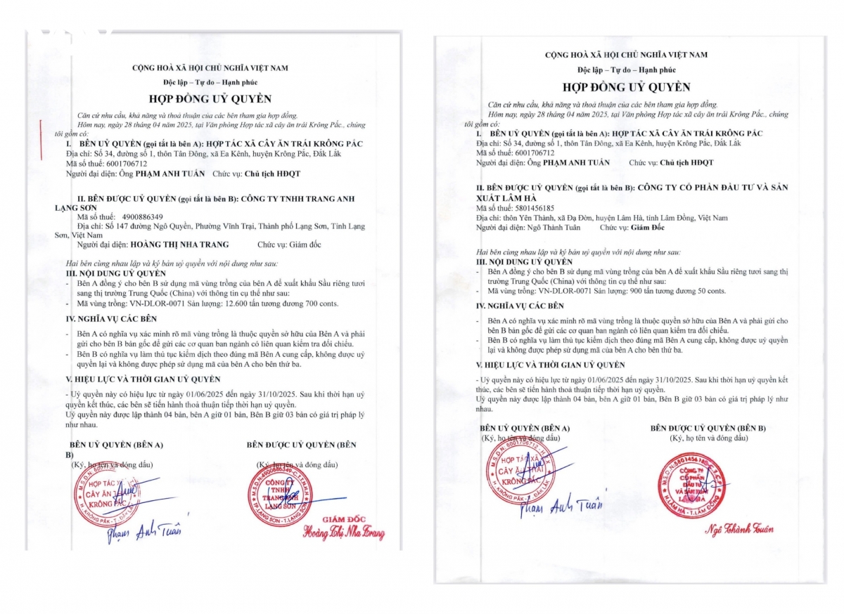 hop-tac-xa-trai-cay-krong-pac-uy-quyen-xuat-khau-hang-chuc-nghin-tan-sau-rieng-.jpeg