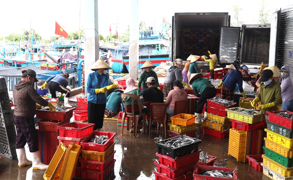 iuu-04.jpg