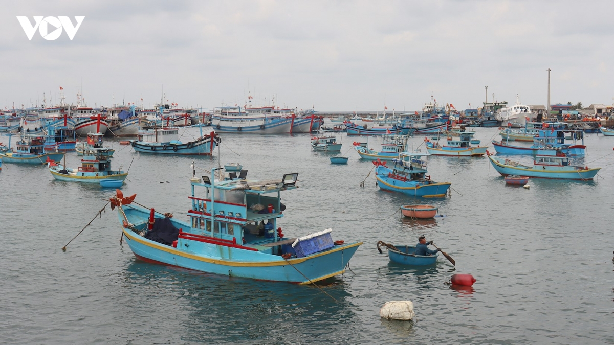 lam-dong-cong-bo-2-diem-neo-dau-tam-thoi-tai-dac-khu-phu-quy.jpg