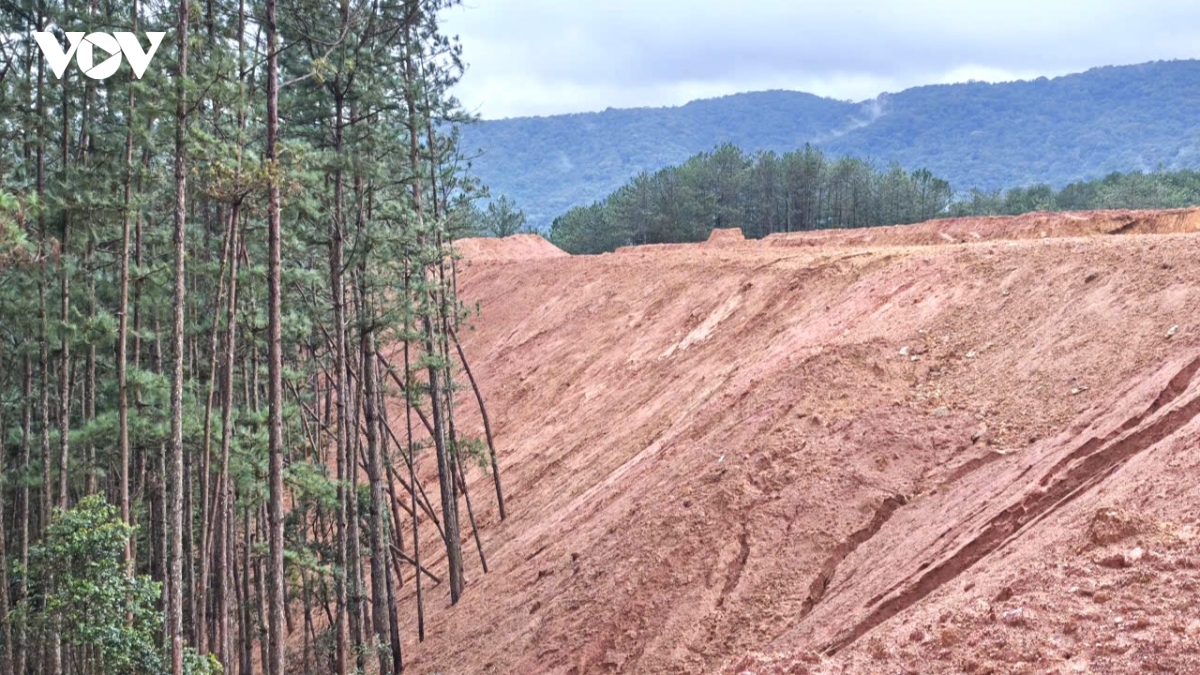 lam-dong-kien-nghi-go-vuong-dat-dai-2.jpg