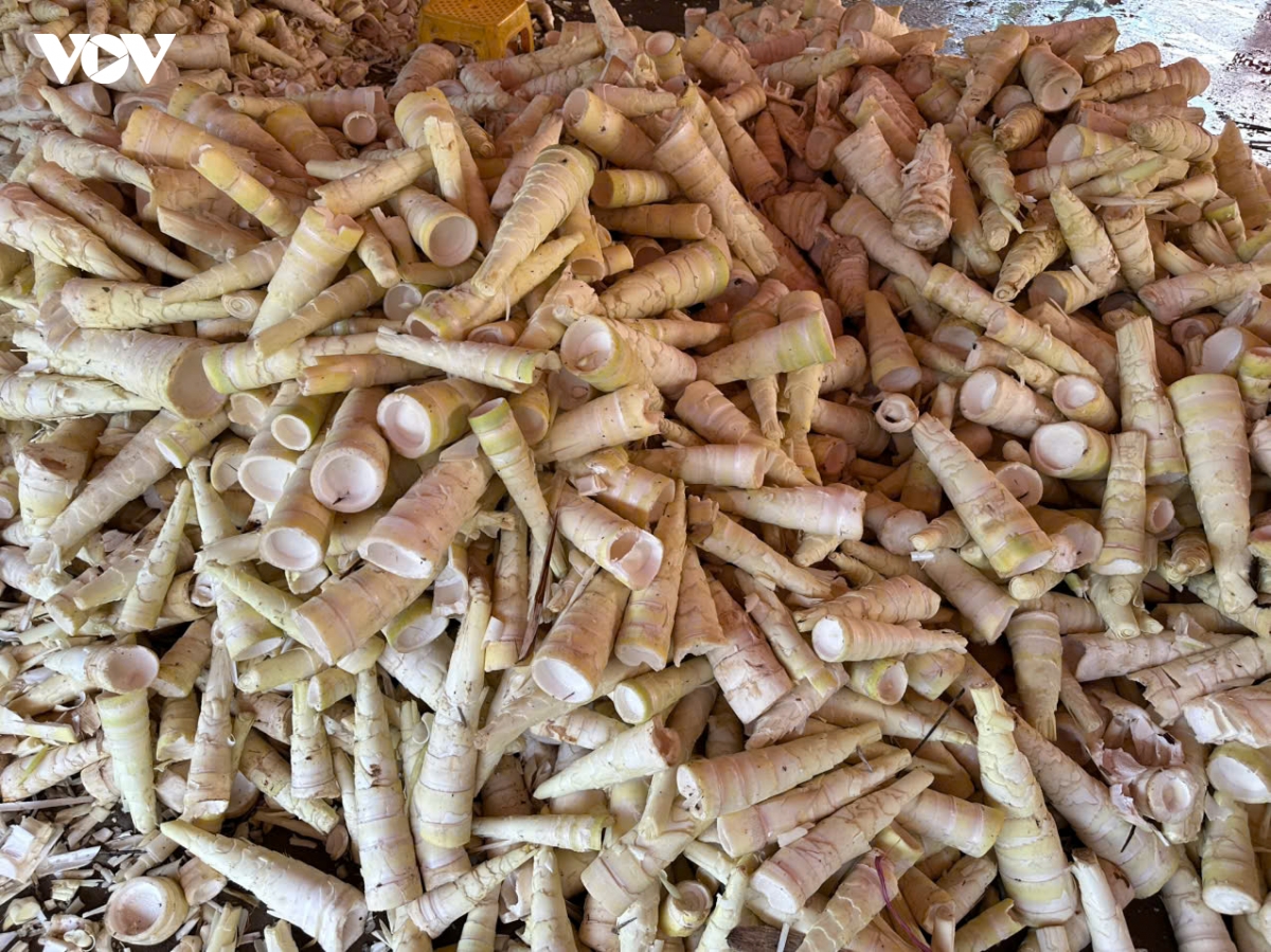 mang-tuoi.jpg