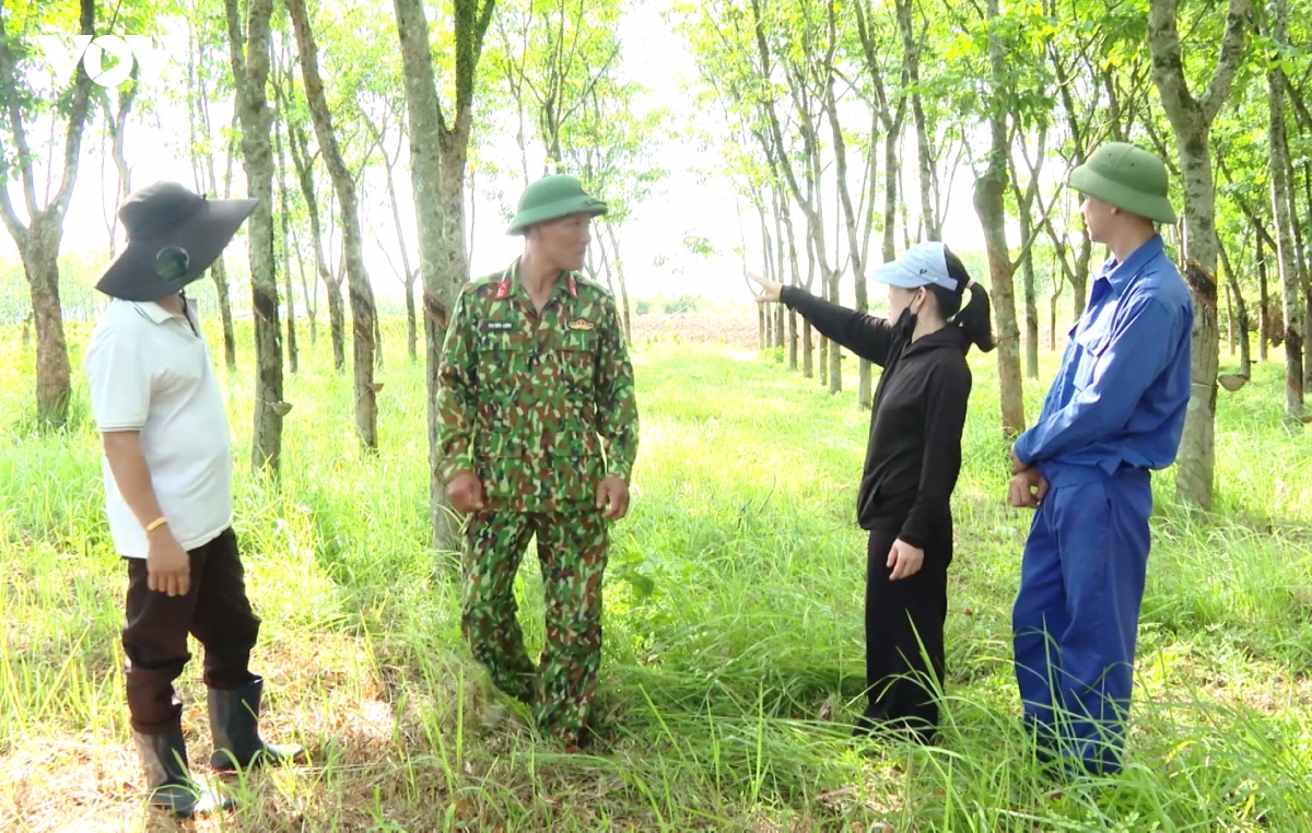 nguoi-dan-cung-cap-them-thong-tin-ve-cac-khu-vuc-nghi-co-mo-liet-si.jpg